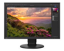 EIZO ColorEdge CS2400S